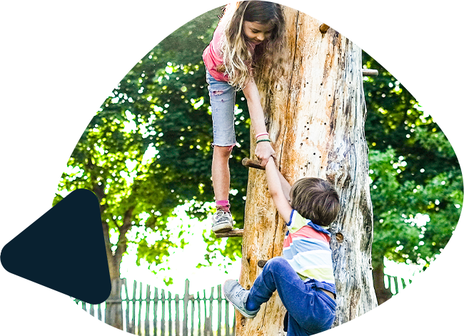Kids climbing a tree